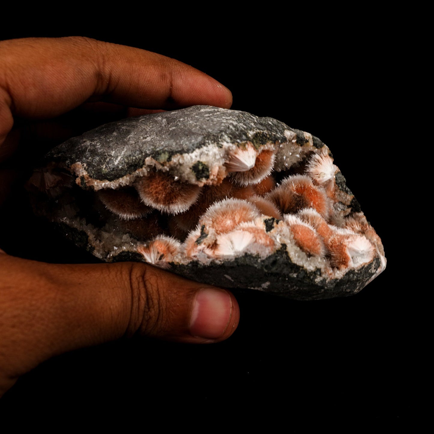 Thomsonite Pink Rare Find Natural Mineral Specimen # B 5873 Thomsonite Superb Minerals 