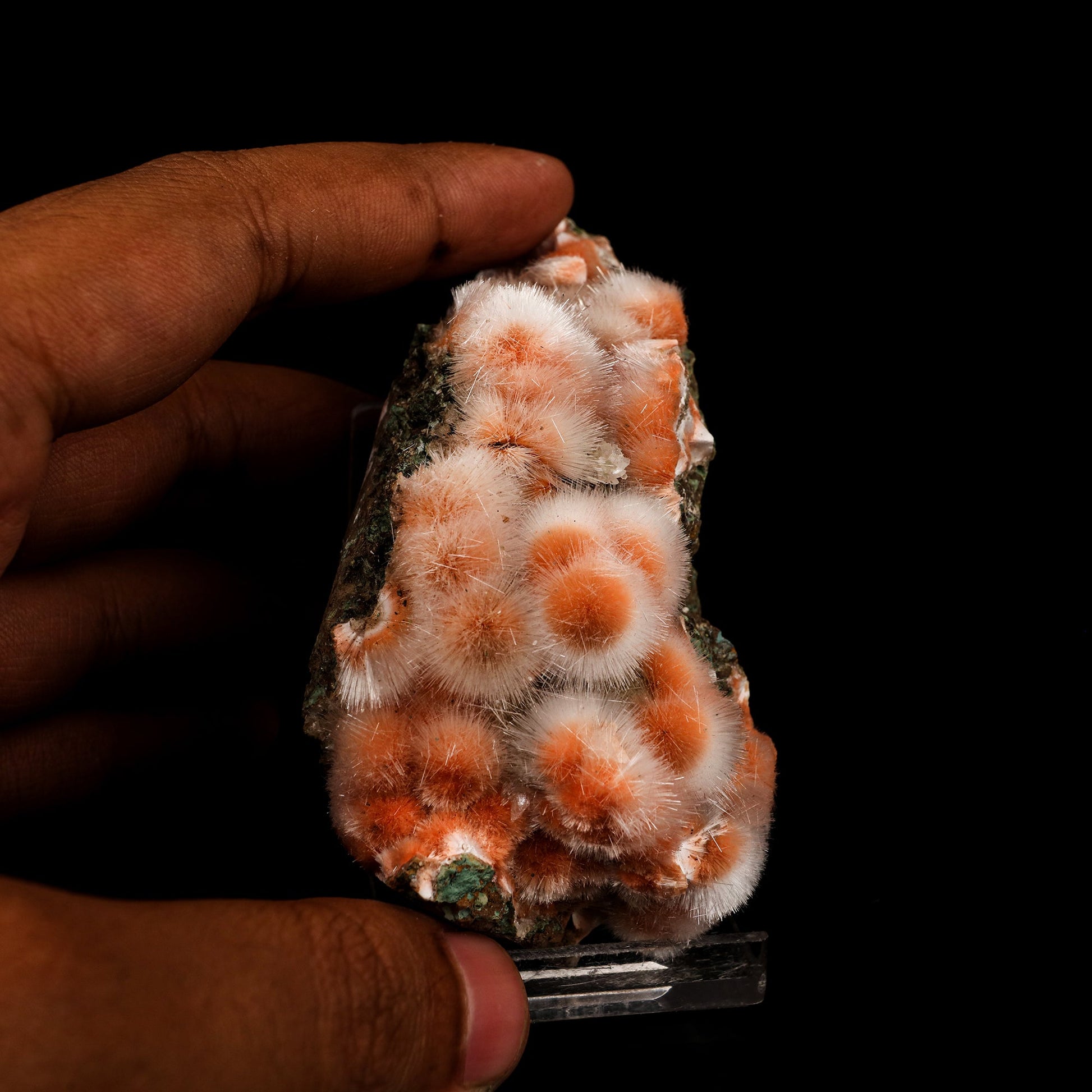 Thomsonite Pink Rare Find Natural Mineral Specimen # B 5878 Thomsonite Superb Minerals 