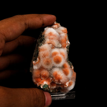 Thomsonite Pink Rare Find Natural Mineral Specimen # B 5878 Thomsonite Superb Minerals 
