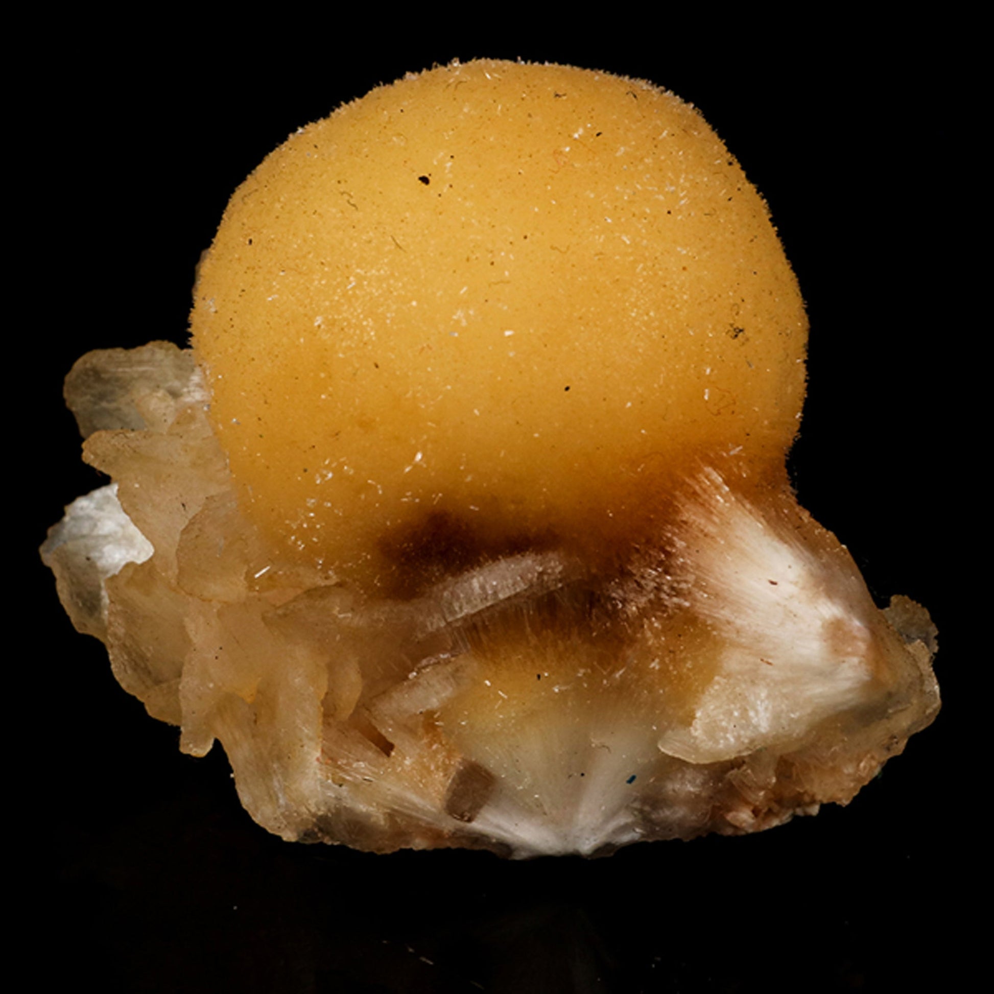 Thomsonite Rare Find with Stilbite Natural Mineral Specimen # B 5784 Thomsonite Superb Minerals 