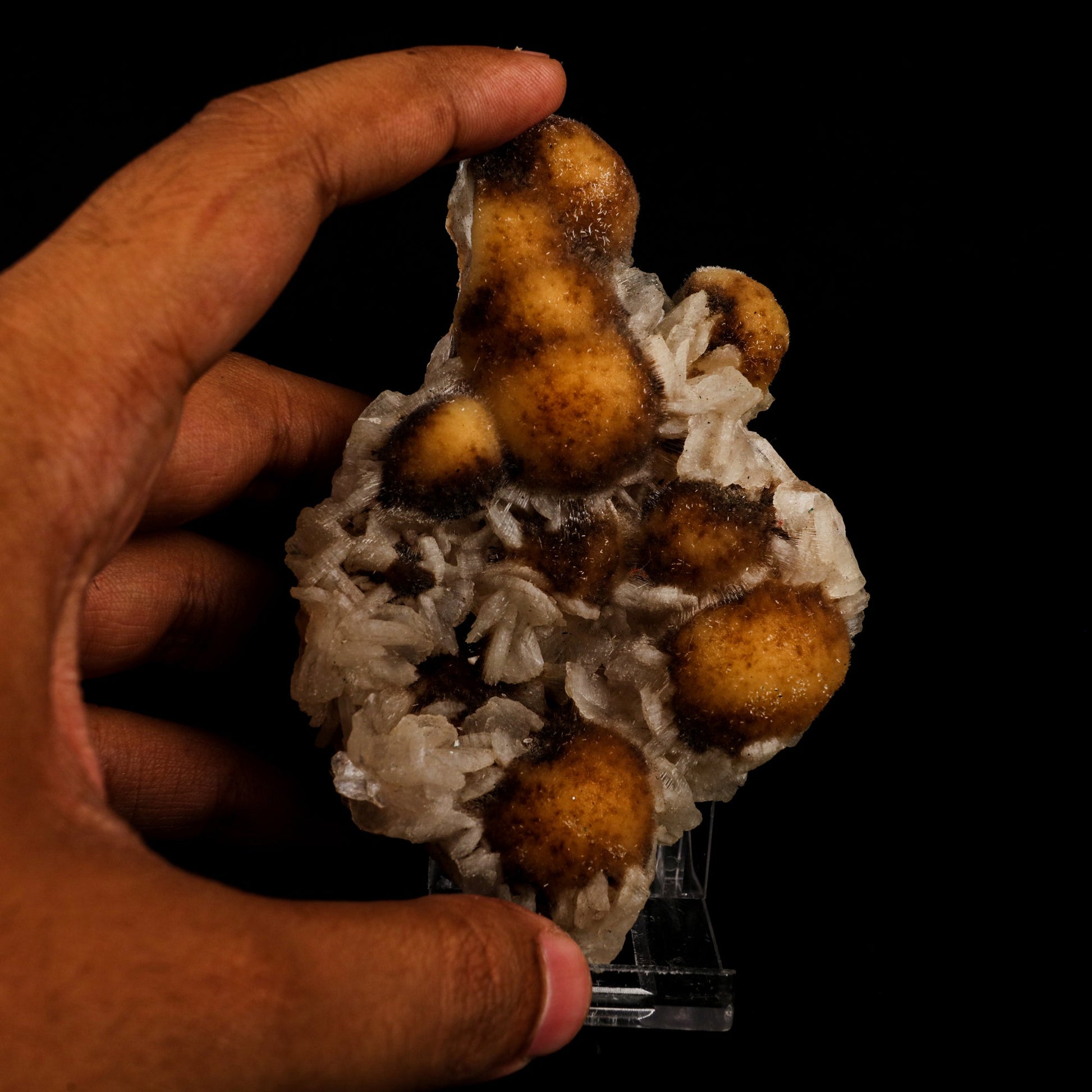 Thomsonite Rare Find with Stilbite Natural Mineral Specimen # B 5880 Thomsonite Superb Minerals 